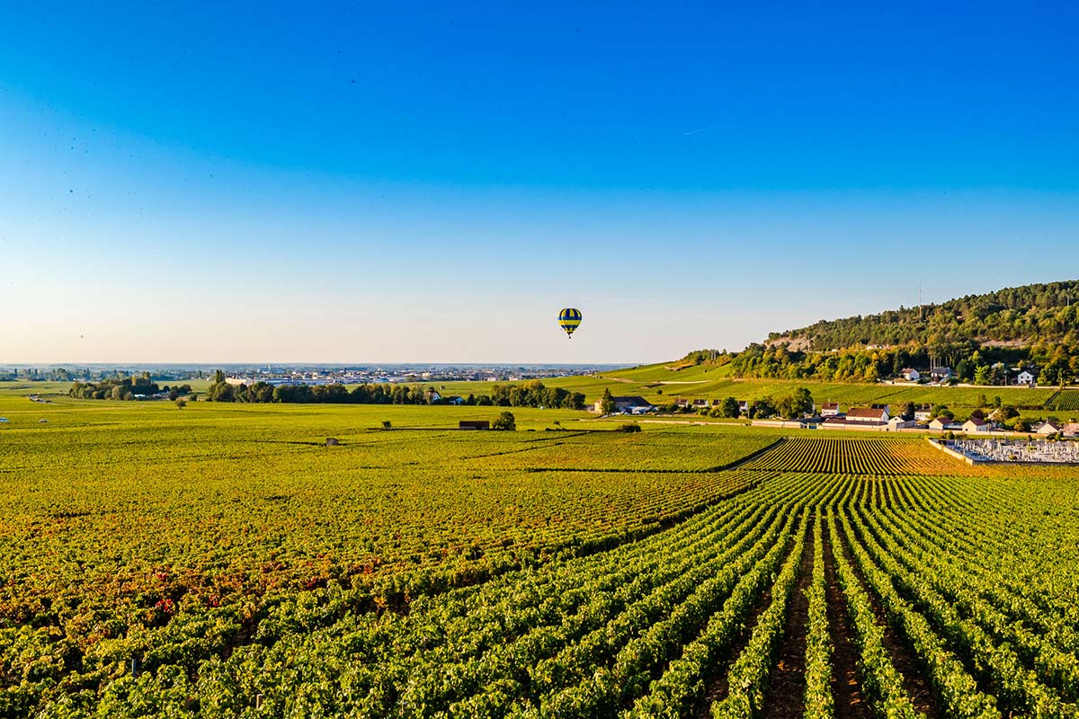 Abbaye de Cîteaux, berceau de l'ordre cistercien, à 15 min des gîtes