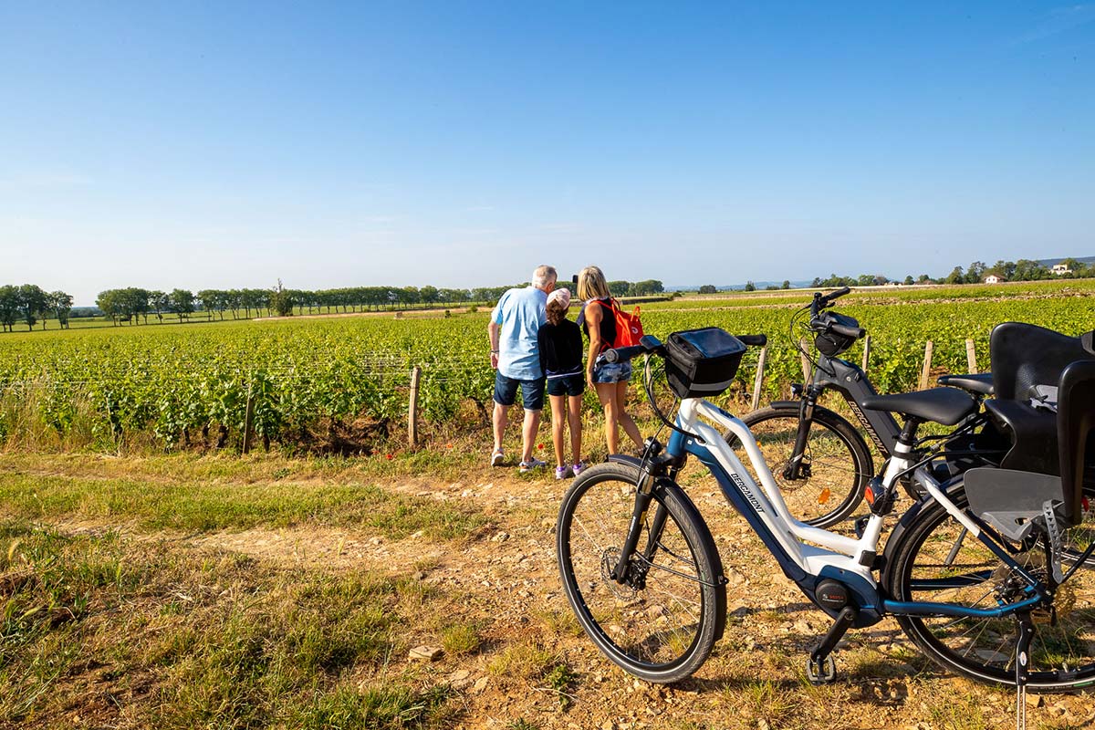 Sentier de randonnée en Bourgogne — nature et chemins près de Villebichot